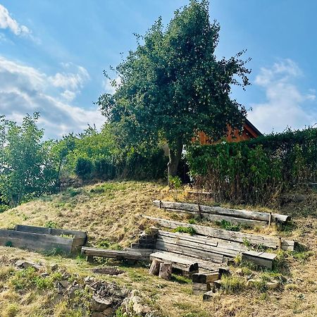 Libling Ruzovy Pension Banská Štiavnica Buitenkant foto