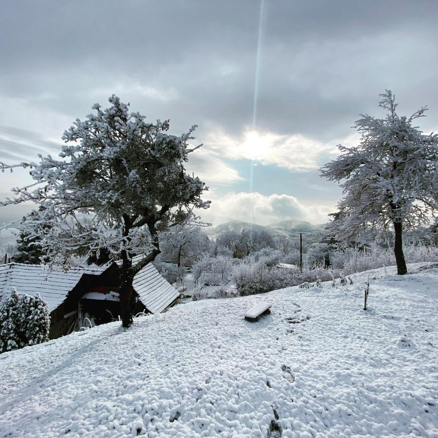 Libling Ruzovy Pension Banská Štiavnica Buitenkant foto