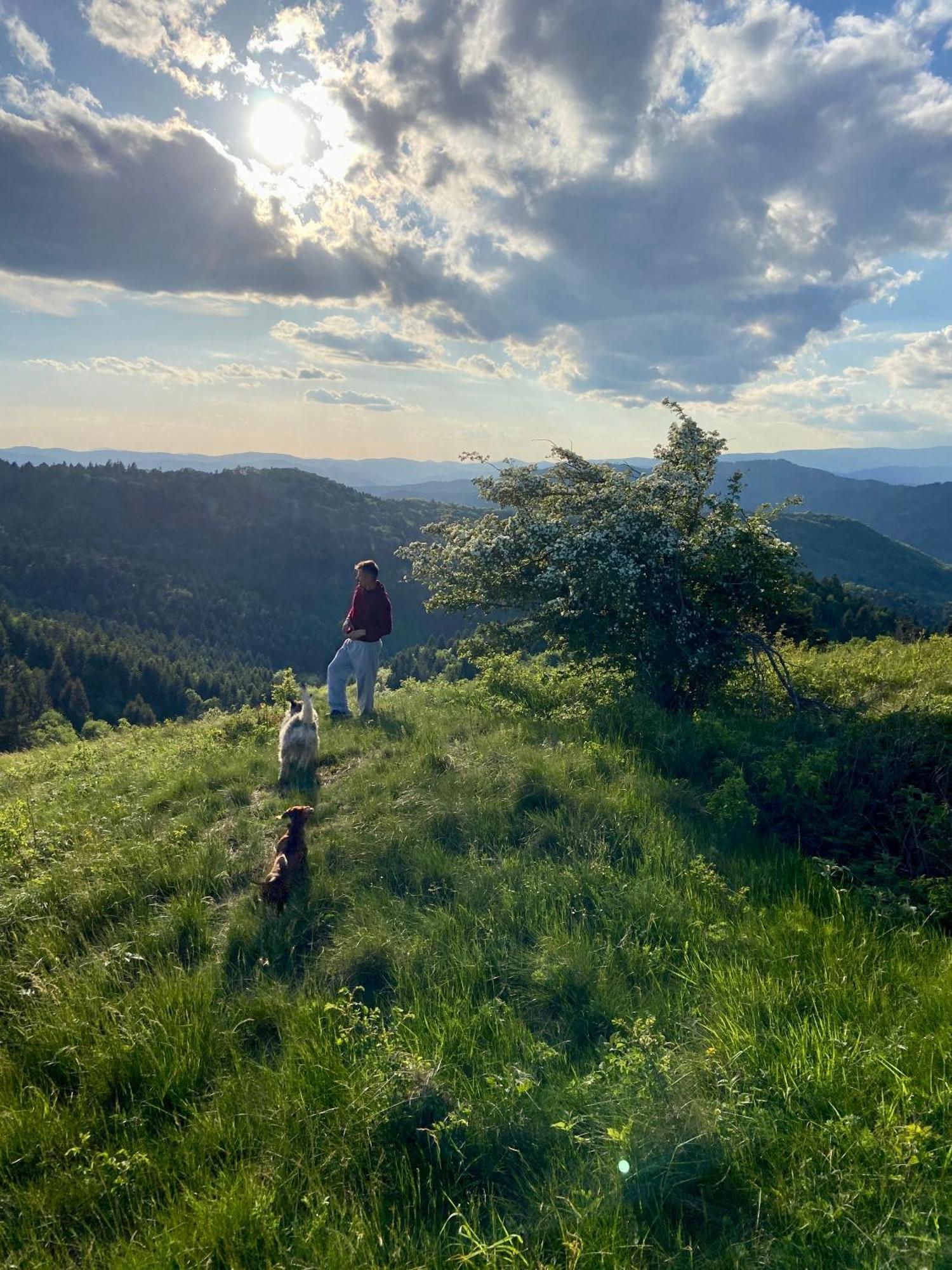 Libling Ruzovy Pension Banská Štiavnica Buitenkant foto