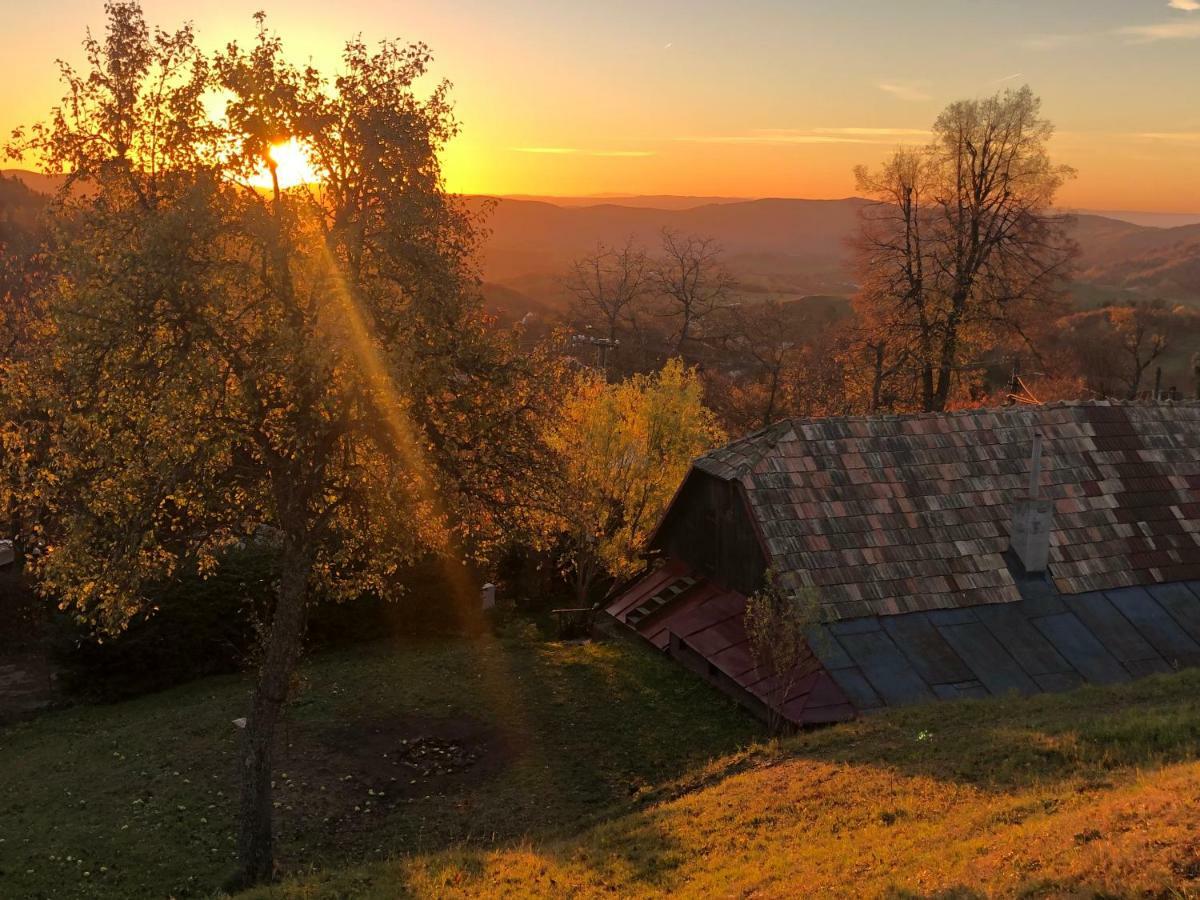 Libling Ruzovy Pension Banská Štiavnica Buitenkant foto